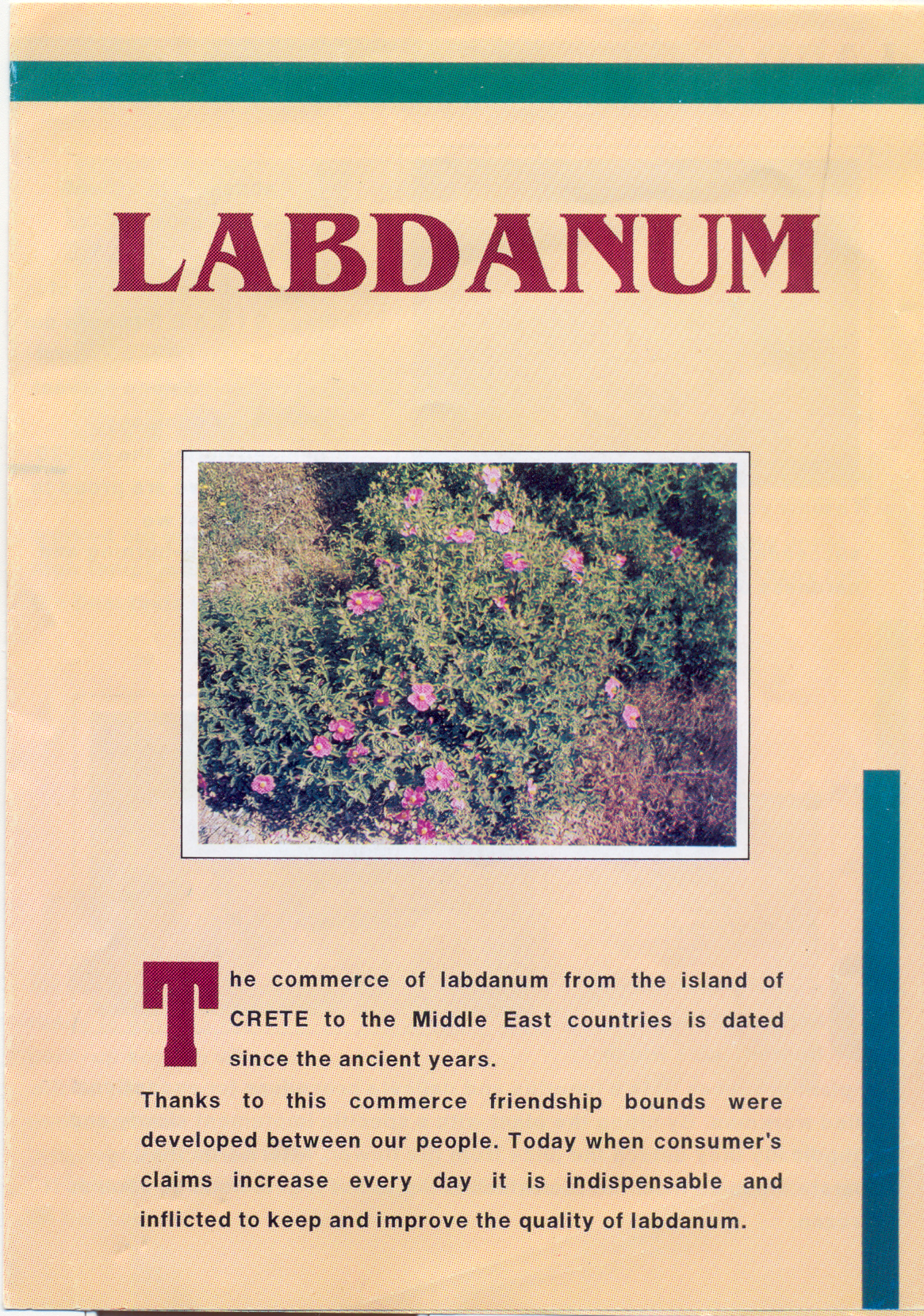 Labdanum - Rasoulis Rethymno